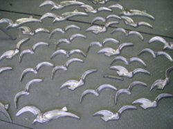 3.カモメの検品
